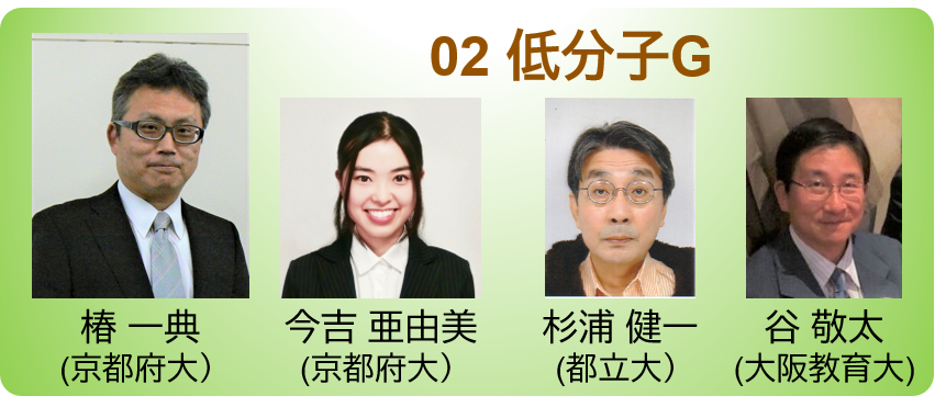 02低分子G.png 02低分子G.png