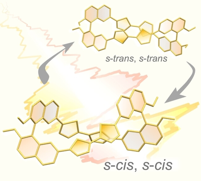 2025_hasegawa.jpg 2025_hasegawa.jpg