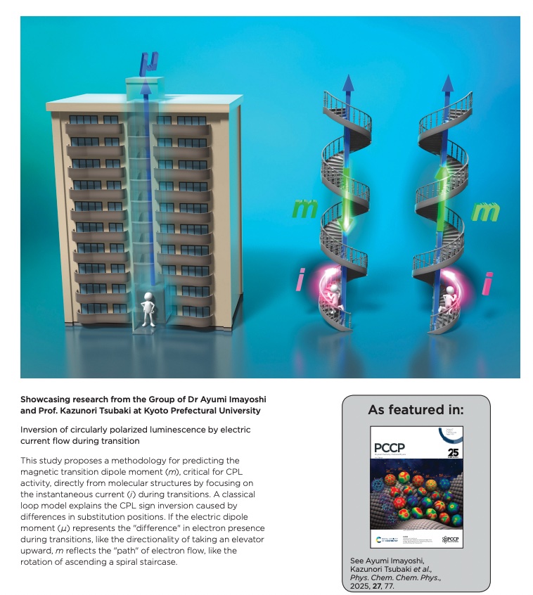 back_cover_imayoshi.jpg back_cover_imayoshi.jpg