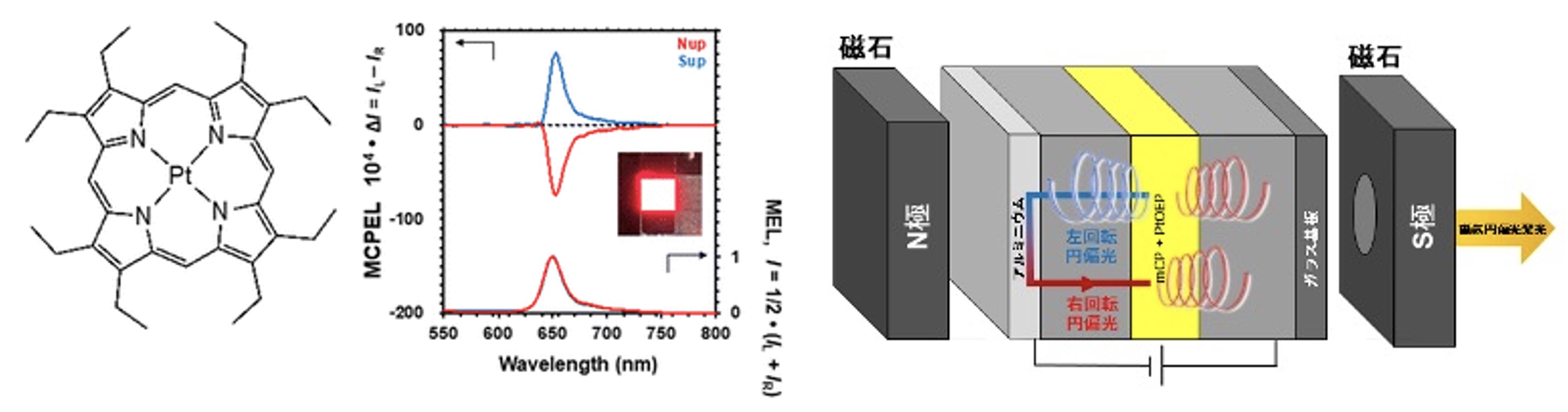 imai_2024_01.jpg imai_2024_01.jpg