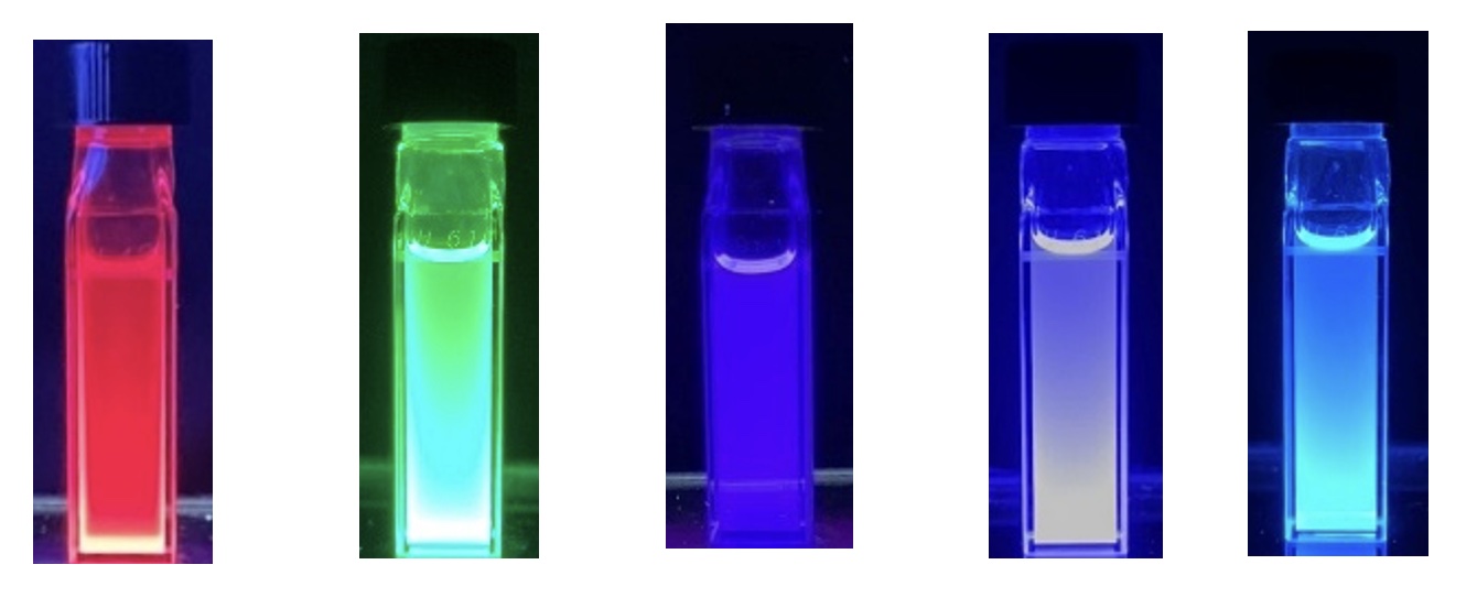 imai_2024_02.jpg imai_2024_02.jpg