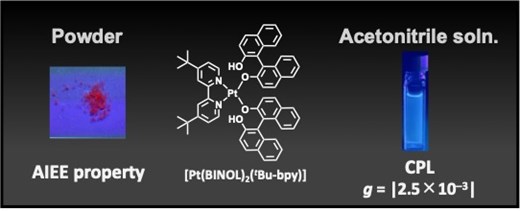 inoue_r.jpg inoue_r.jpg